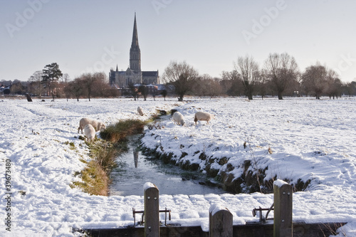 Salisbury cathedral in the snow