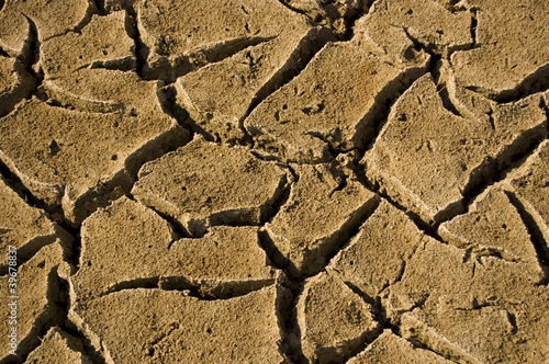 Close-up Sequía Extrema