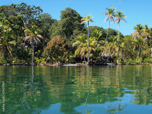 Tropical coast with lush vegetation seen from water surface of the Caribbean sea  Panama  Central America