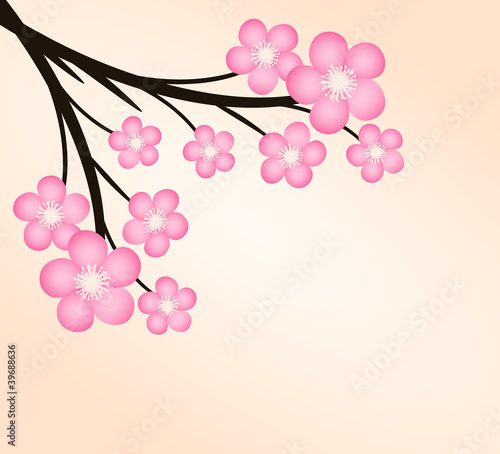 Wallpaper Mural Sacura Torontodigital.ca