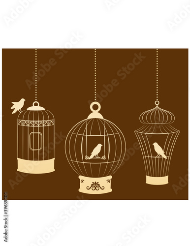 background with ornamental birdcages and bird