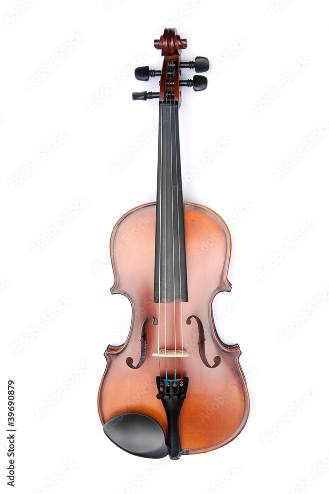 Fototapeta premium violin