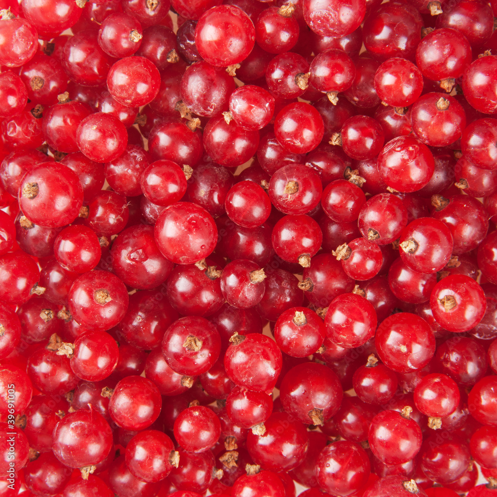 redcurrant redcurrant