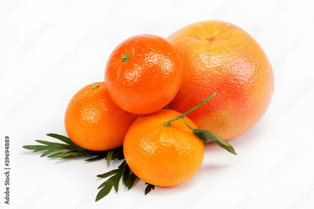Tropical fruits on a white background. Tropical fruits on a white background.