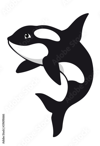 Killer whale