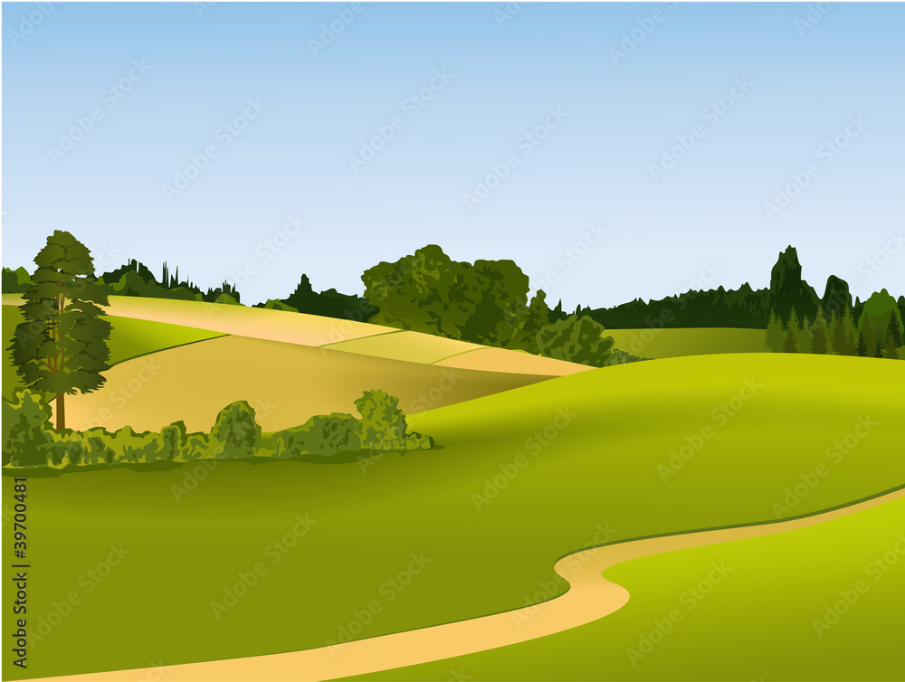 Obraz premium Rural landscape with road