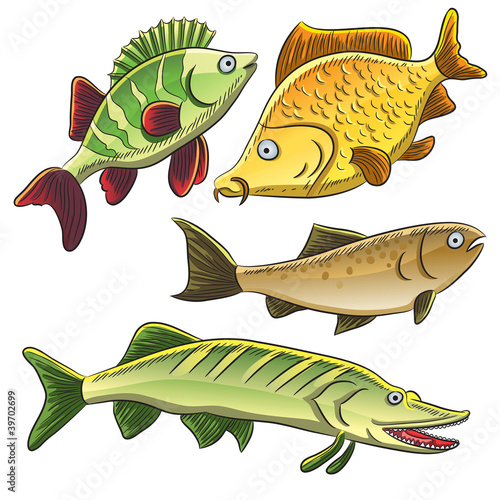 Fish Collection