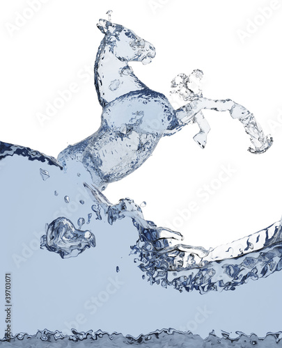 Fototapeta Naklejka Na Ścianę i Meble -  horse of liquid