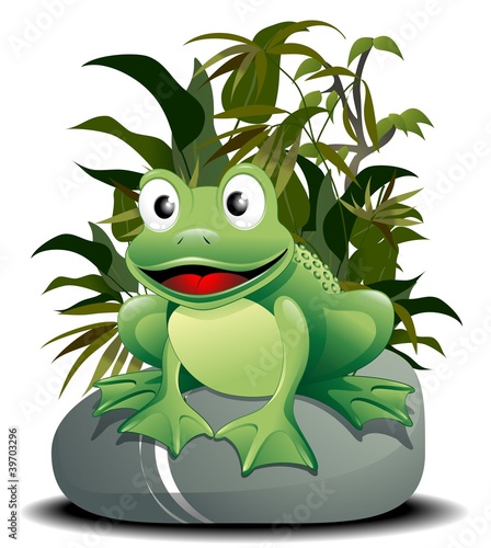 Rana Cartoon su Pietra-Cartoon Frog on Nature-Vector