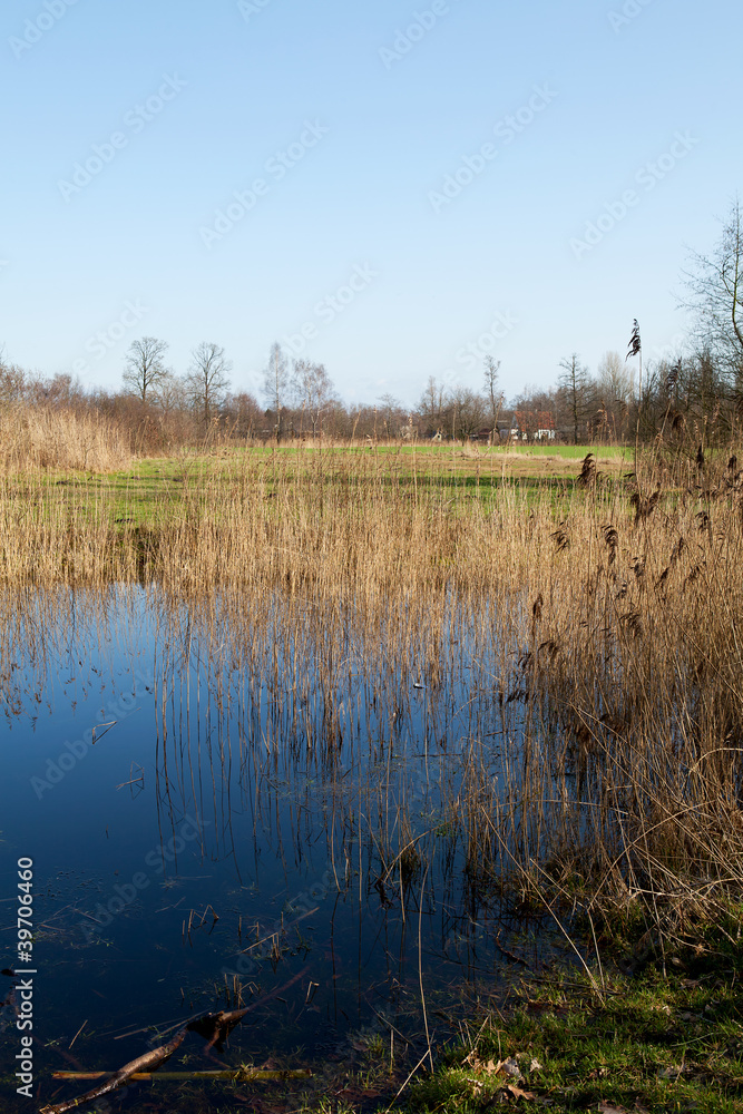 Little lake in the Netherlands