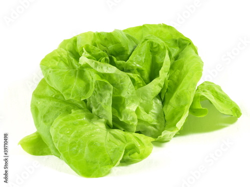Green lettuce on isolated background