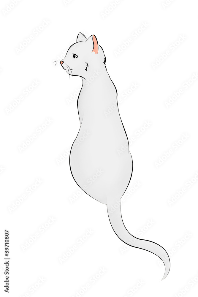 01 Katze von hinten Stock Illustration | Adobe Stock