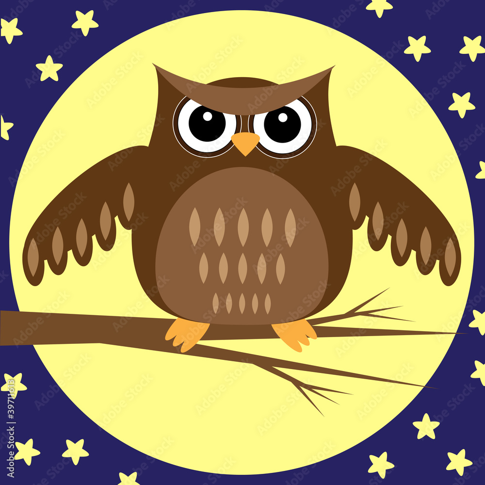 Fototapeta premium Owl at Night