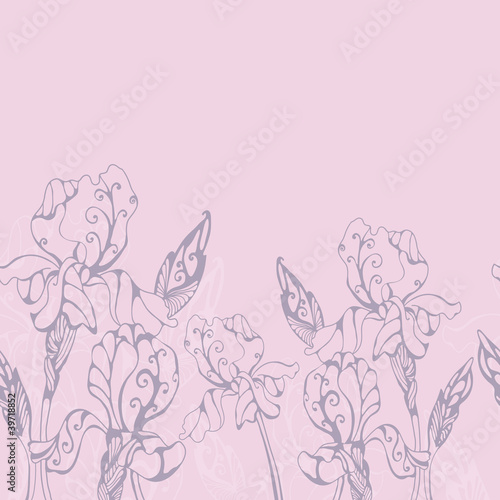Fototapeta Naklejka Na Ścianę i Meble -  iris flowers horizontal seamless border