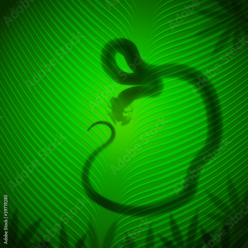 Φωτογραφία Snake catch frog shadow on banana leaf in the tropical sun