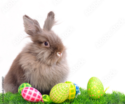 Easter Rabbit with eggs