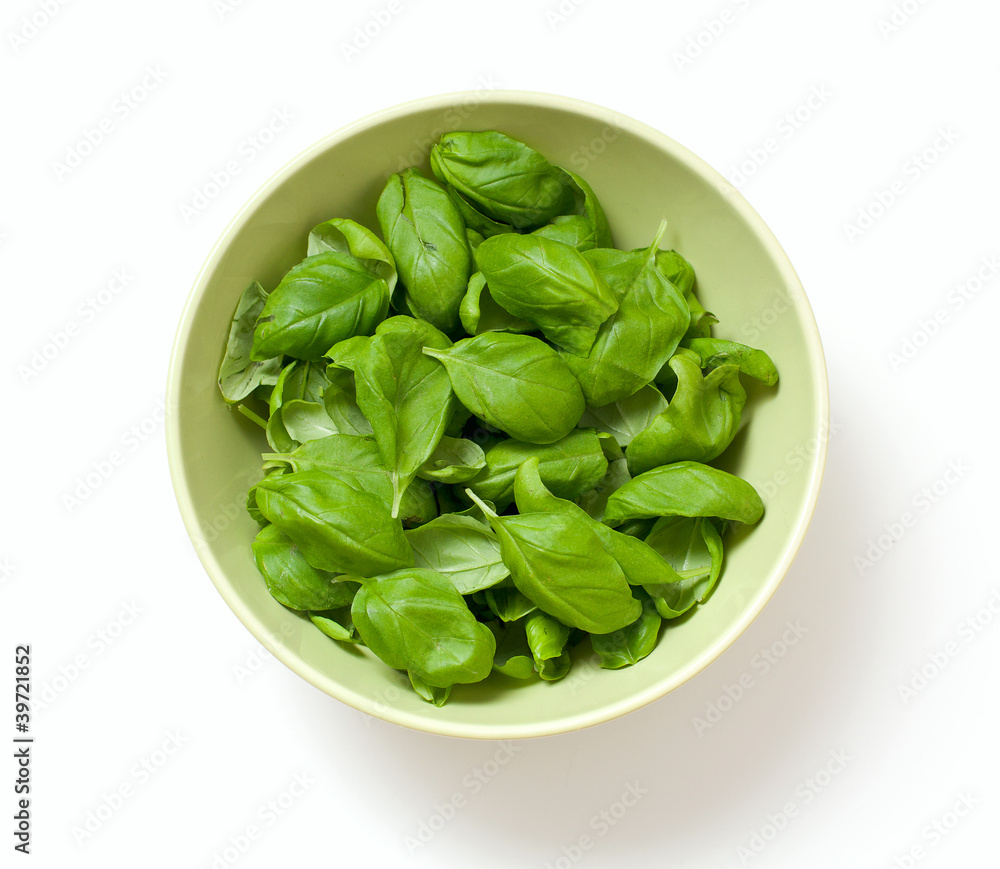 basil leafs basil leafs