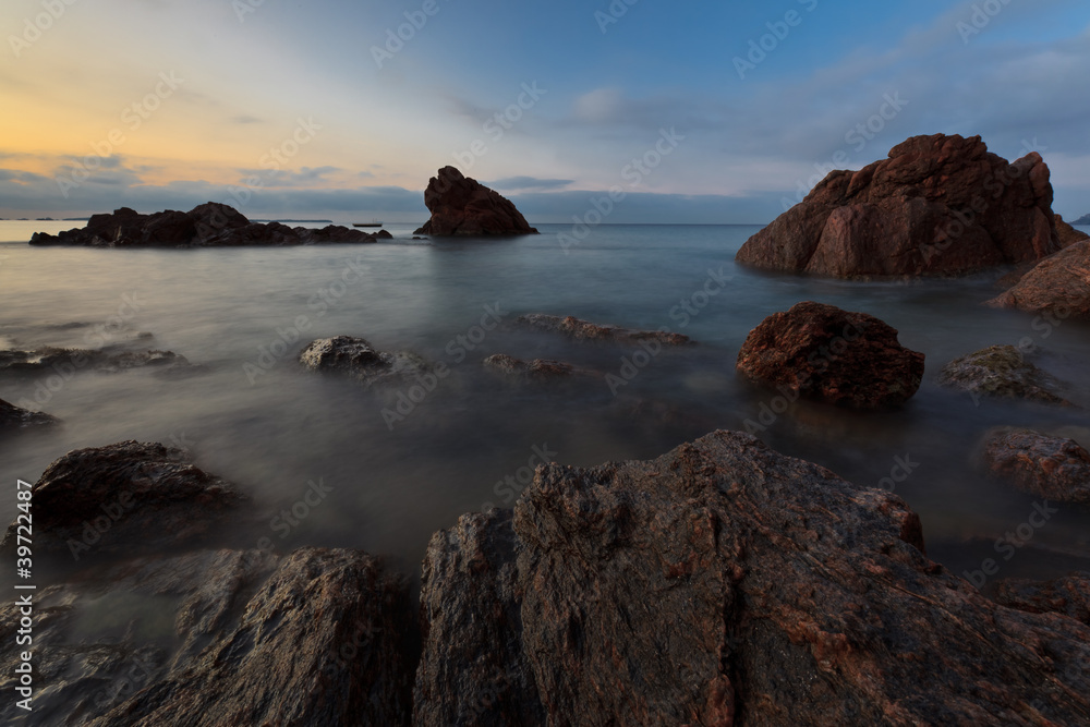 wild beach wild beach