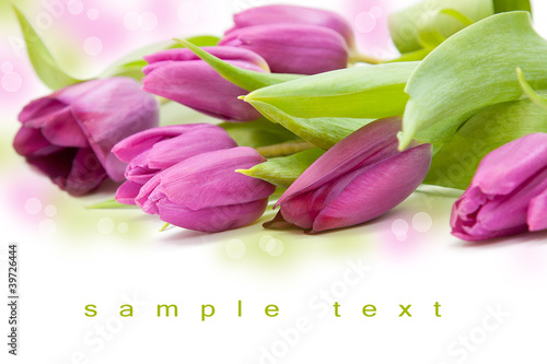 Fototapeta Naklejka Na Ścianę i Meble -  beautiful tulip bouqet