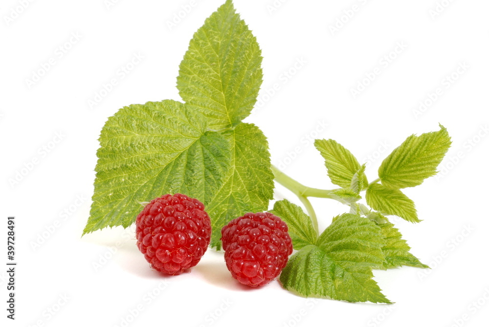 Raspberries Raspberries