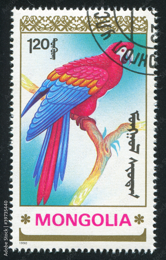 parrot parrot