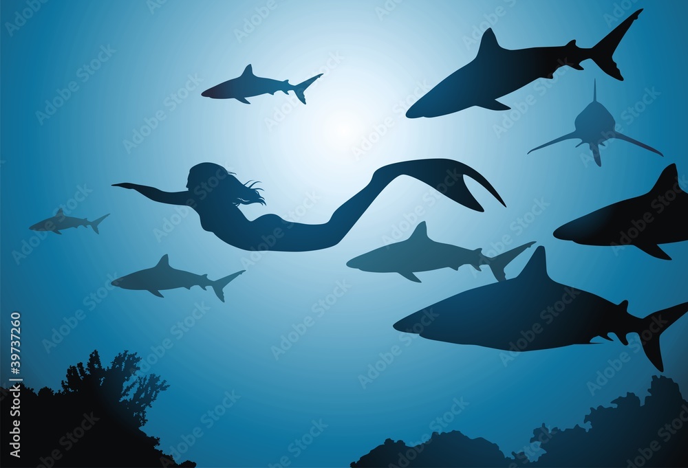Obraz premium The mermaid and sharks