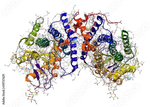 Fototapeta Naklejka Na Ścianę i Meble -  Rhodopsin (pigment involved in vision) protein structure