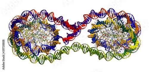 Slika na platnu DNA packing in chromosome (part of chromatin fibre)
