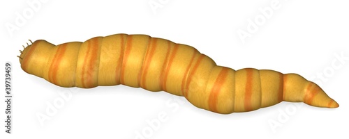 3d render of worm insect