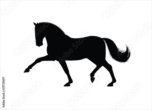 horse trot