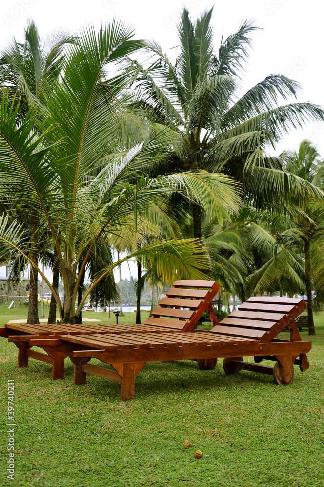 Fototapeta premium Two sunbeds in a lawn surrounded by palm trees on the coast
