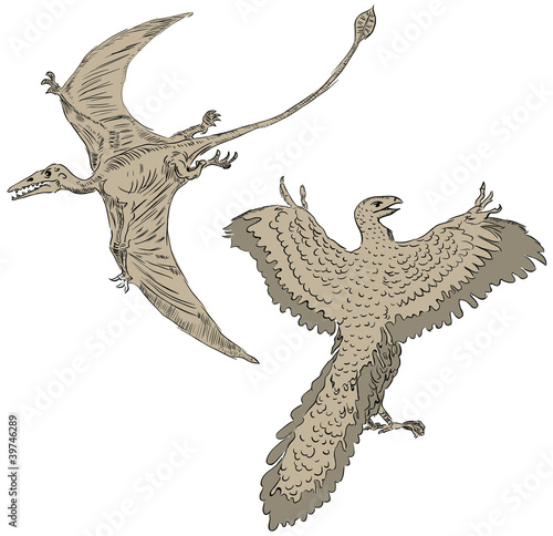 Pterodactyl and ancient birds