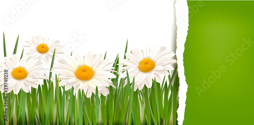 Nature background with ripped paper . Vector