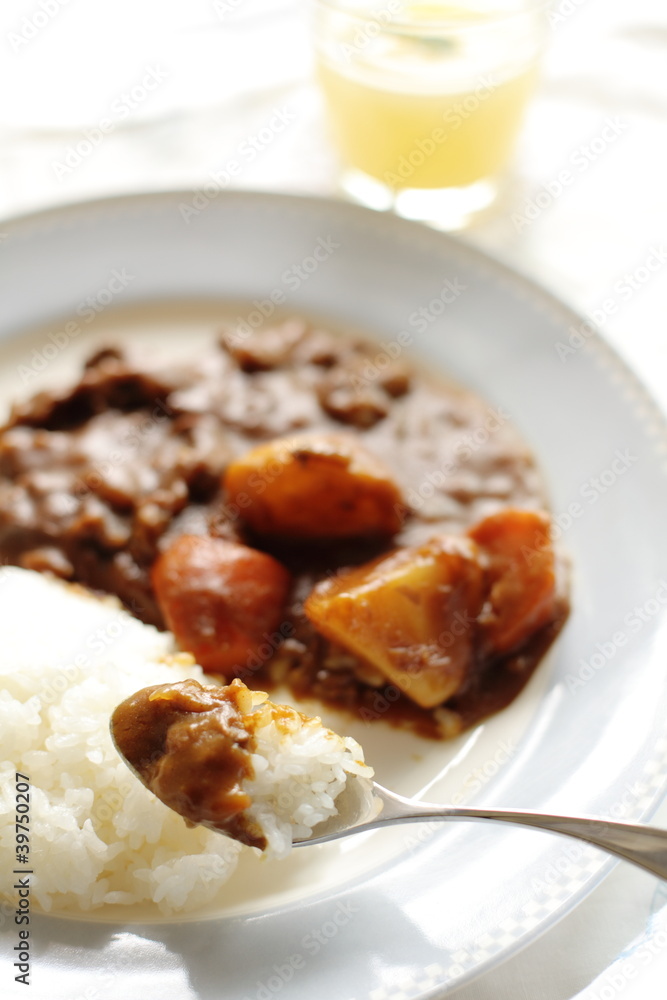 Japanese cuisine, Pork and vegetable curry rice Japanese cuisine, Pork and vegetable curry rice