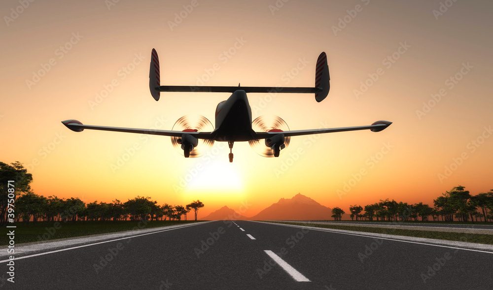 Naklejka premium Plane at sunset.