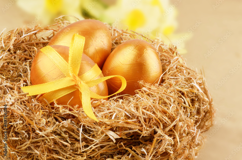 Golden eggs in the nest Golden eggs in the nest