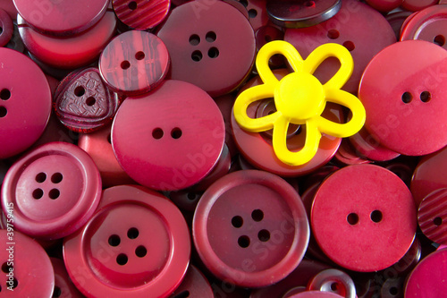 Foto Red Buttons - Yellow Flower