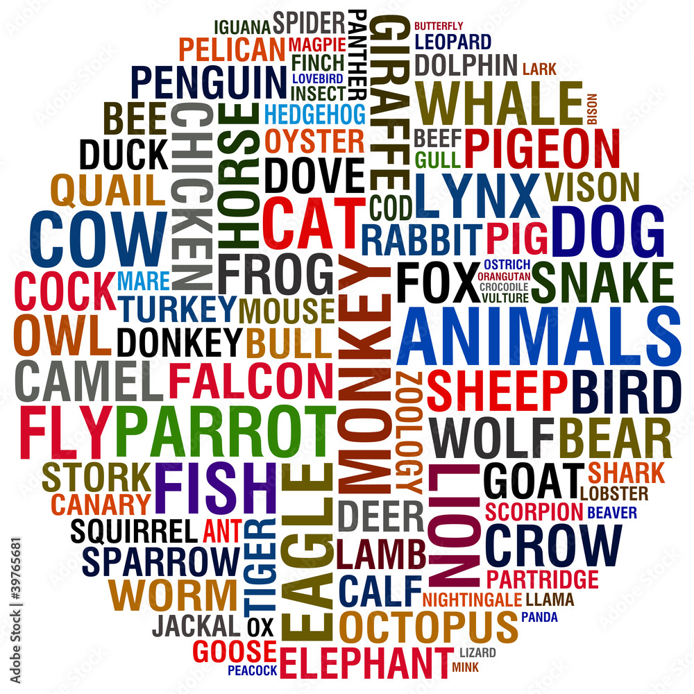 Fototapeta premium animals