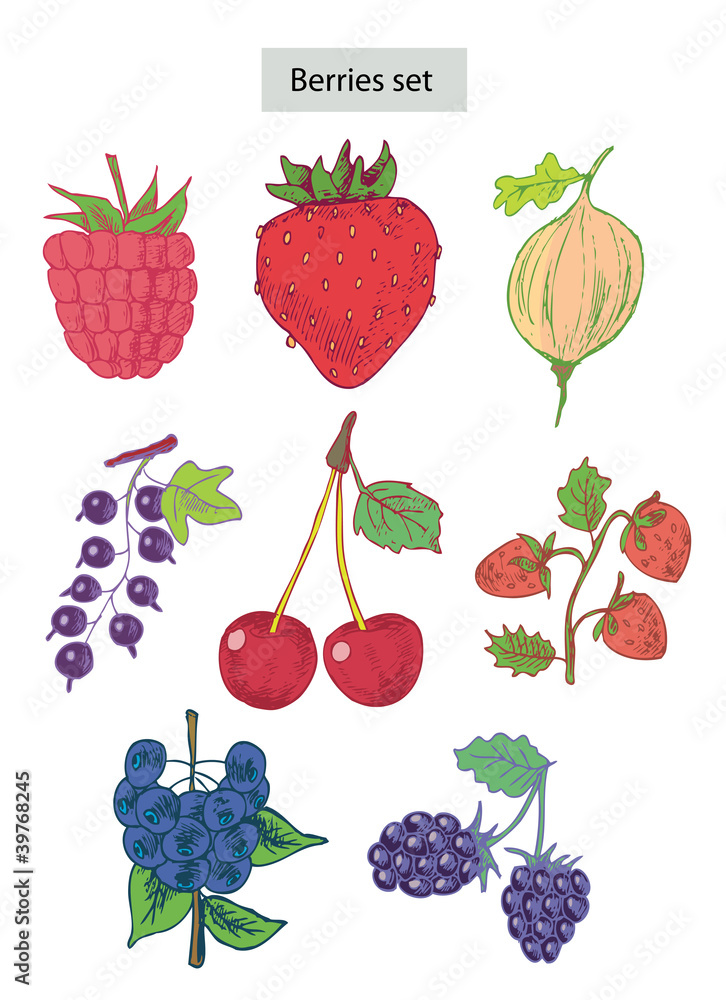 berries set hand drawn illustrations berries set hand drawn illustrations