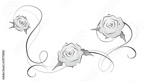 Rose 14b