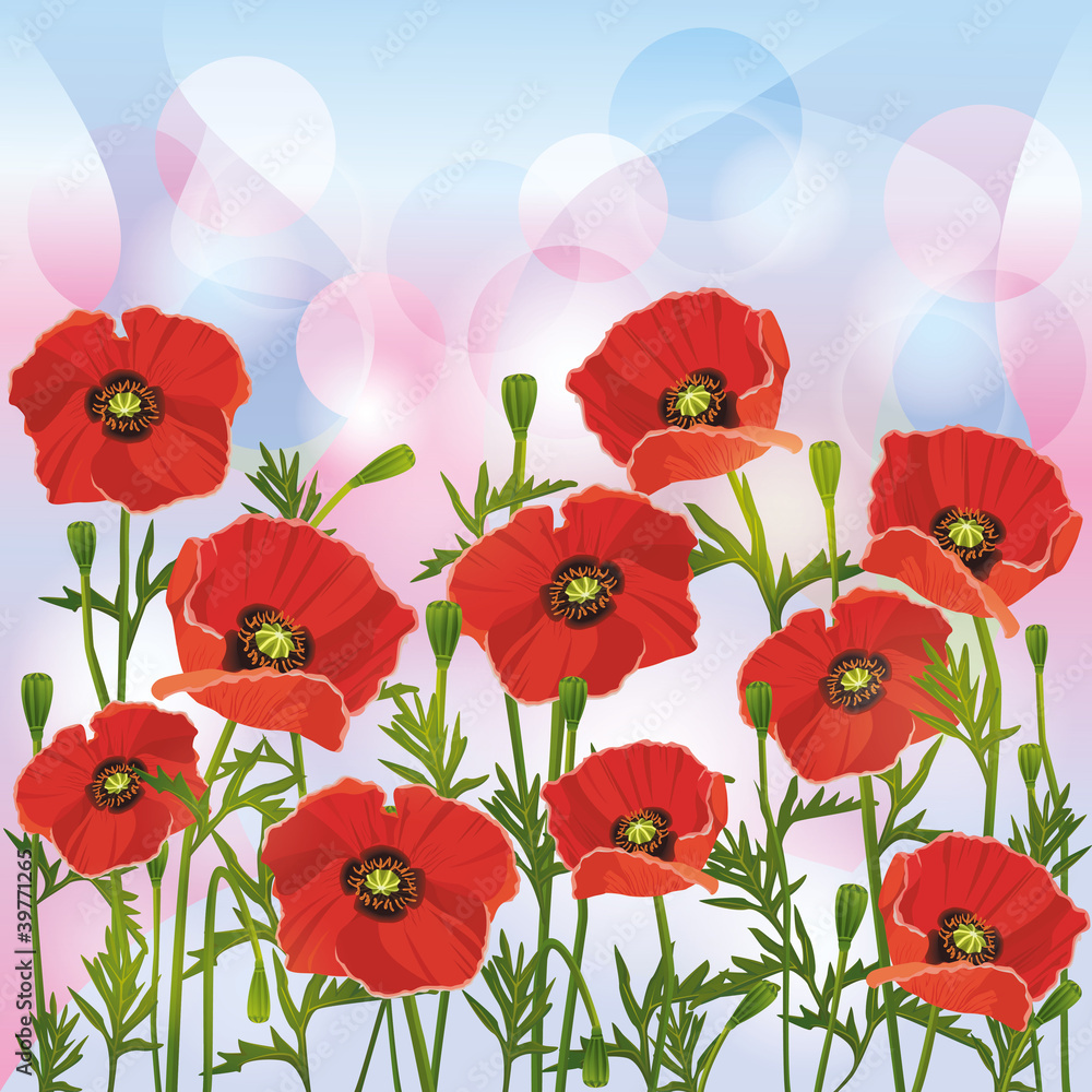 Fototapeta premium Floral background with red poppies