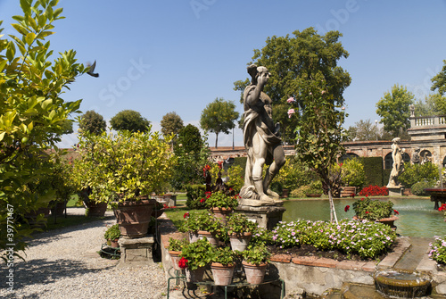 Lovely Garden in Lucca Tuscany Italy