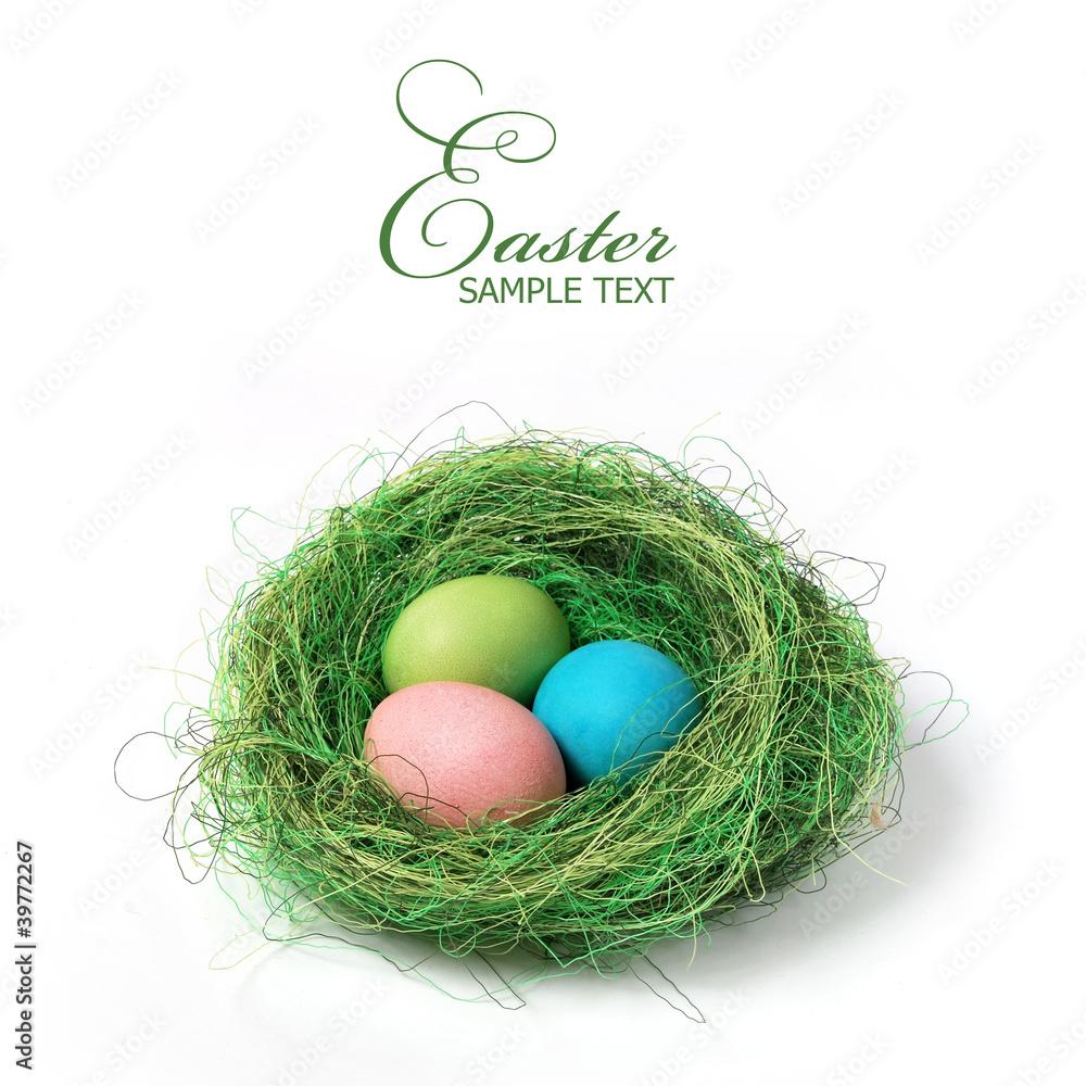 Obraz premium Easter nest