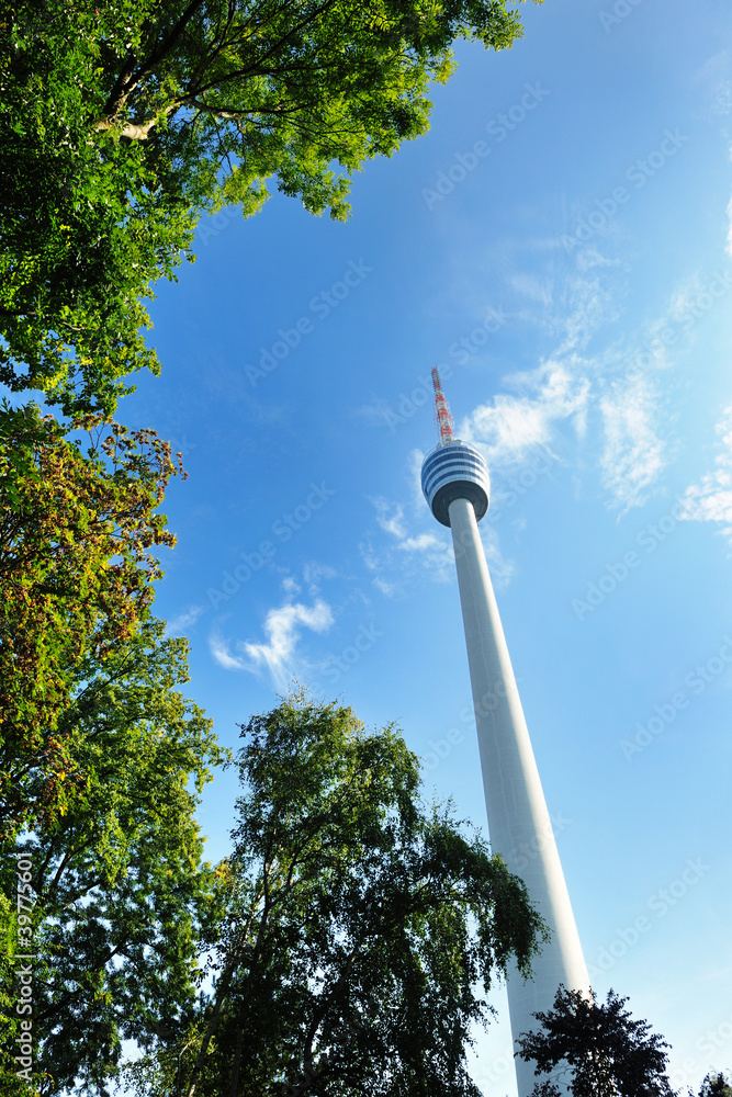 Fototapeta premium tv tower building