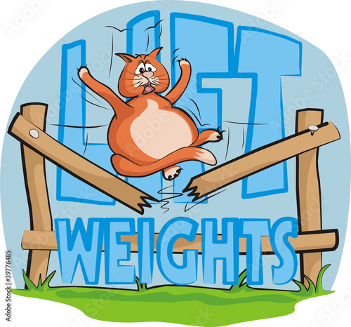 lift weights - fat cat