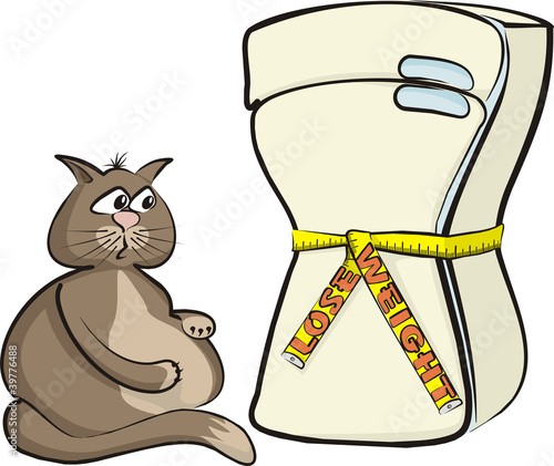 lose weight - cat glutton