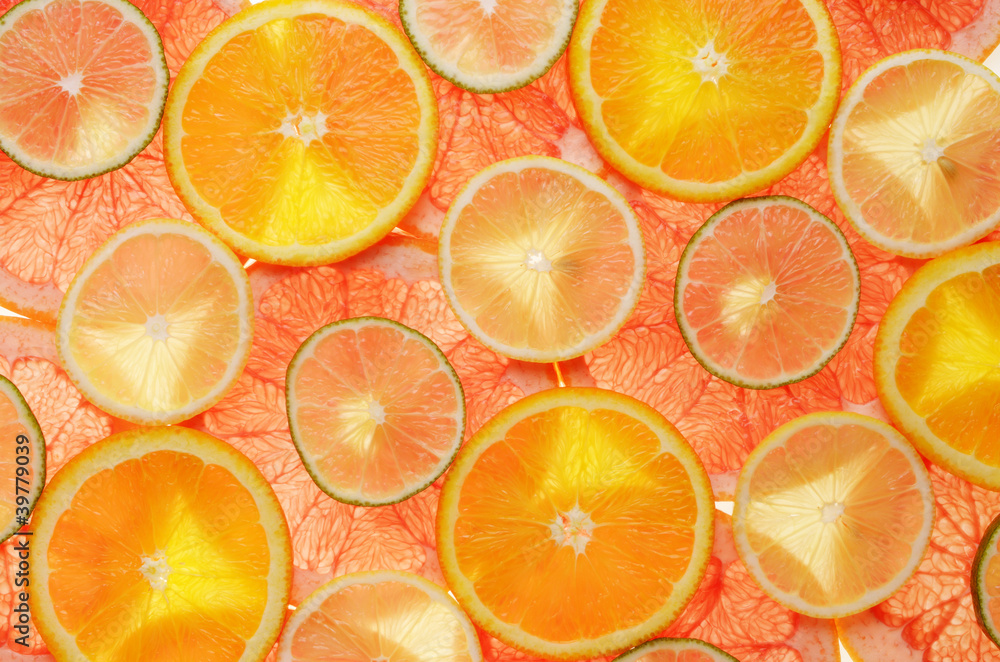 lime, lemon, grapefruit and orange lime, lemon, grapefruit and orange