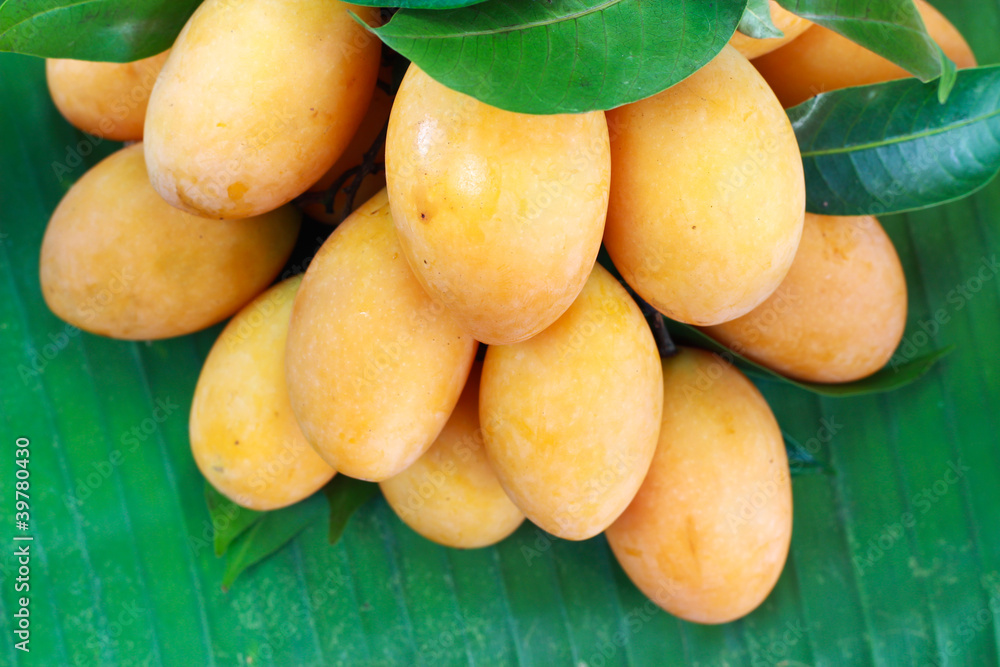 Marian mango, Plum mango. Isolated on white