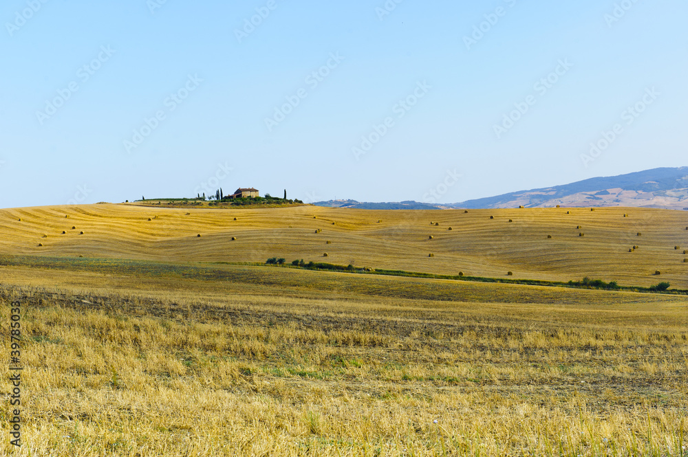 Farm in Val d'Orcia (Tuscany)