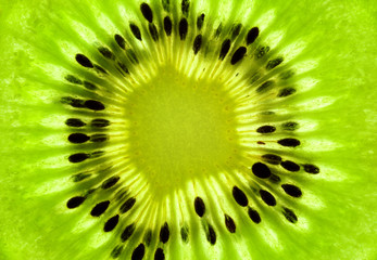 Keuken achterwand Plakjes fruit Verse kiwi macro met tegenlicht  © Taiga
